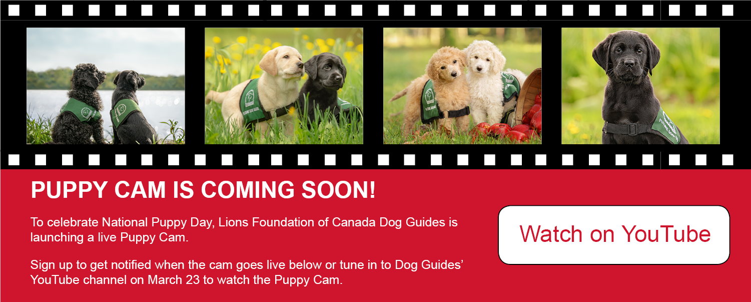 Puppy Cam watch on  our YouTube channel March 23