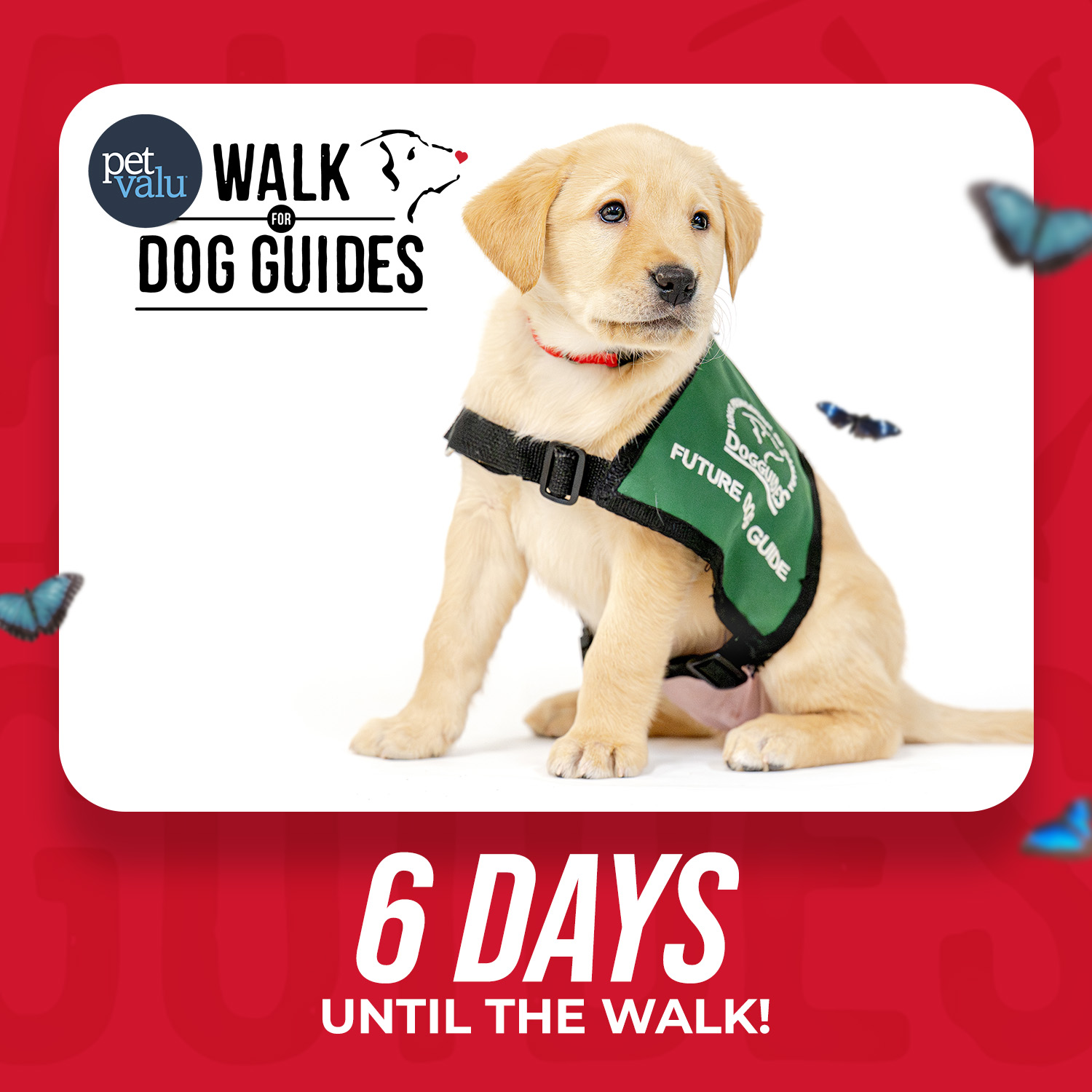 Walk 2026 Countdown - 6 days