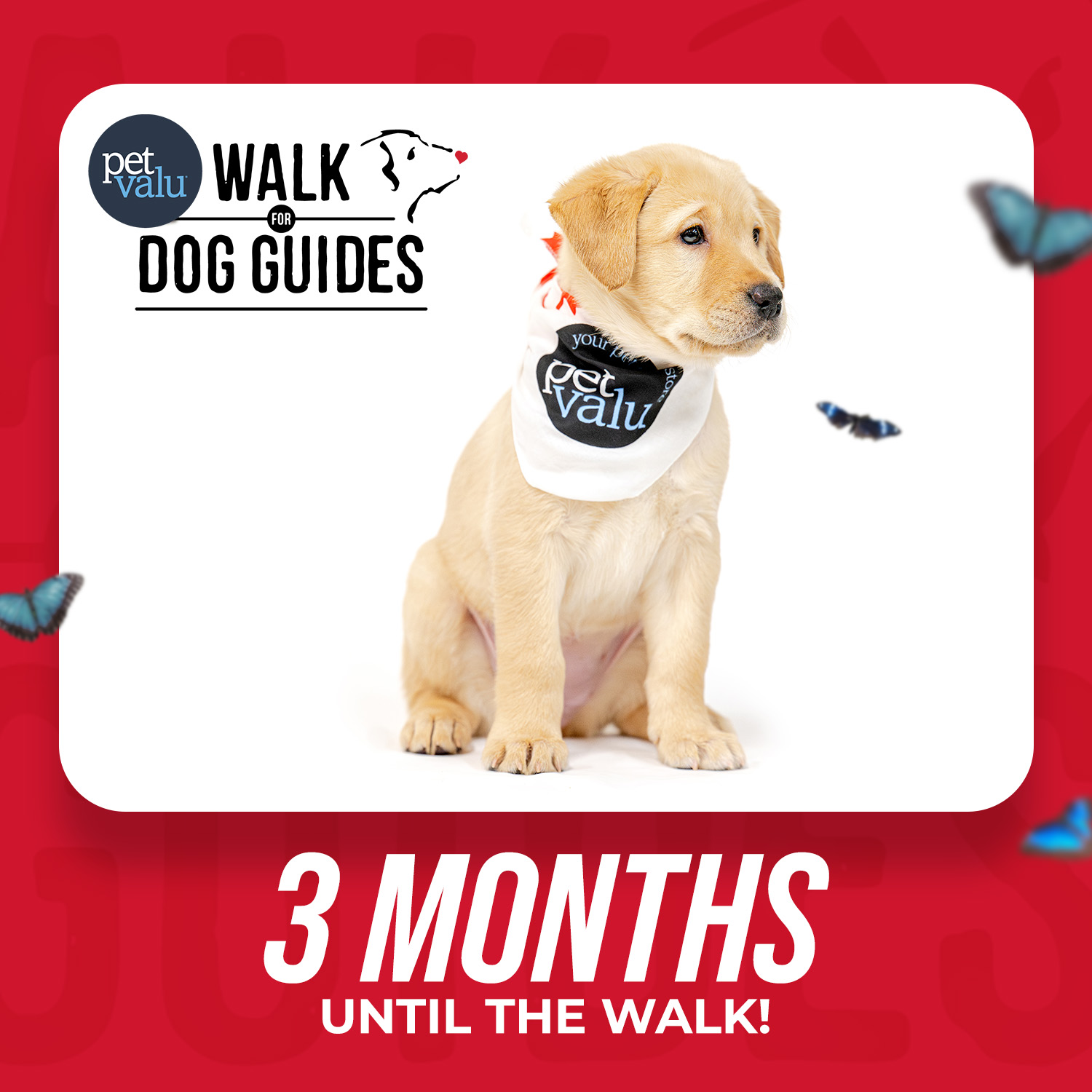 Walk 2026 Countdown - 3 months