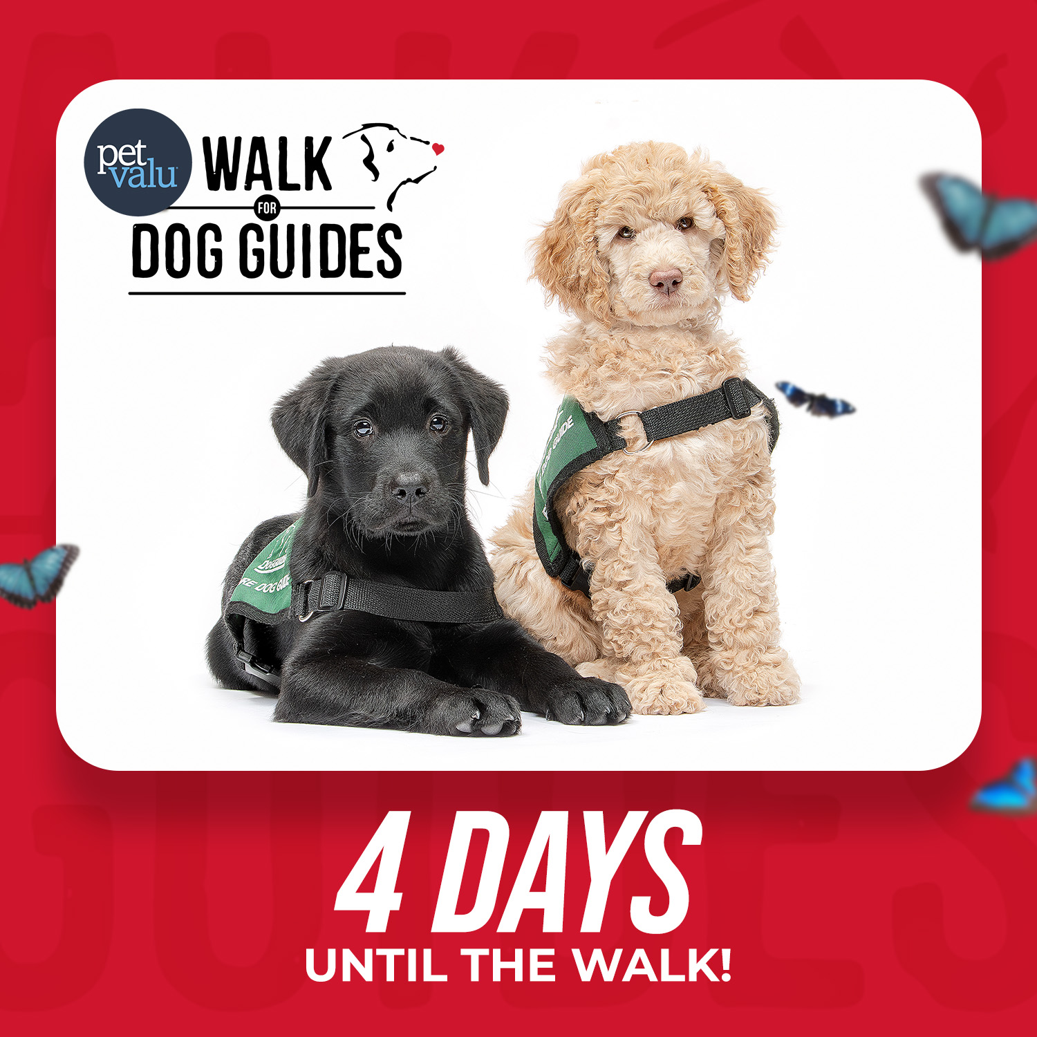 Walk 2026 Countdown - 4 days