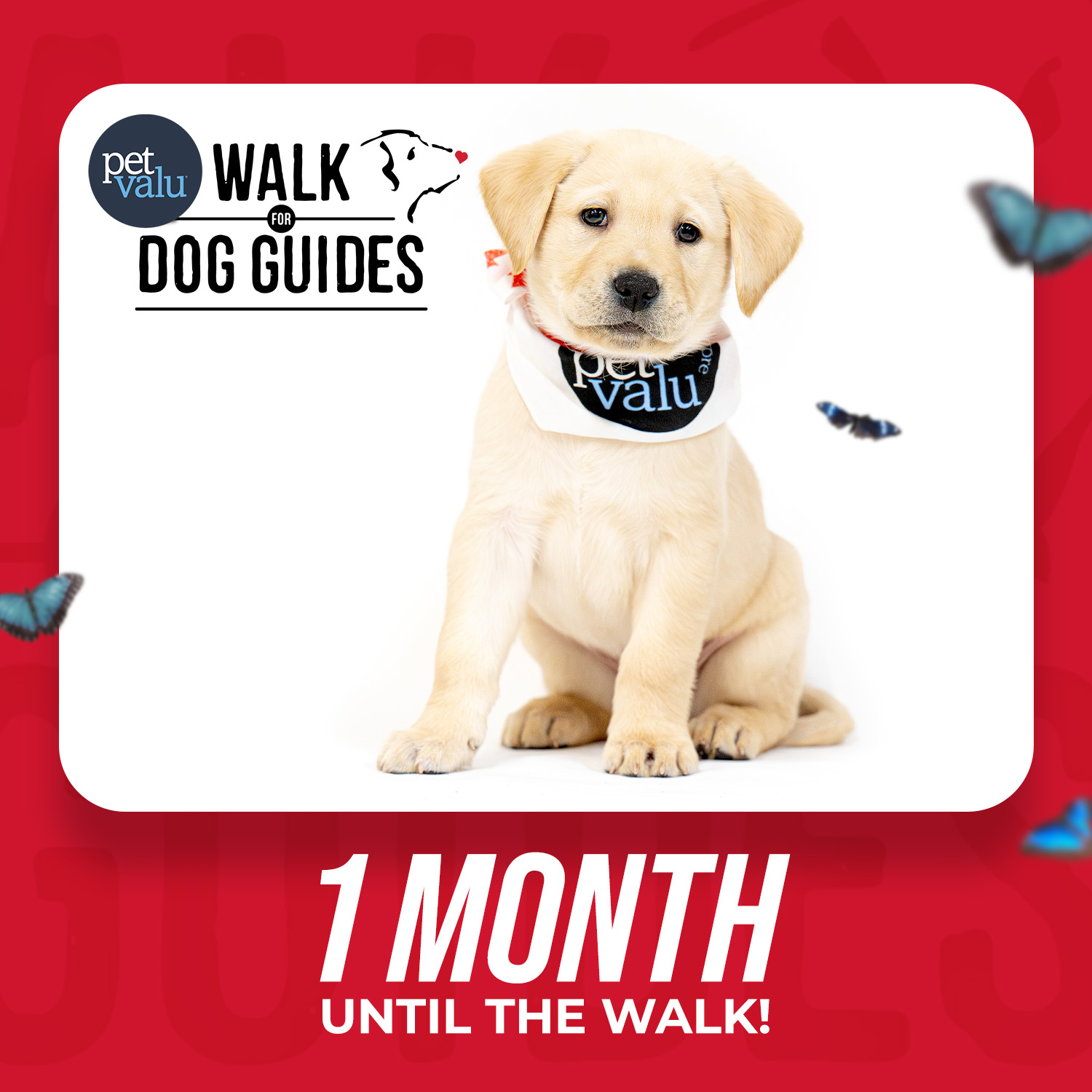 Walk 2026 Countdown - 1 month