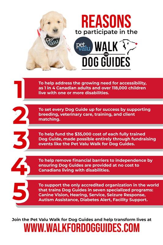 6 Reasons Infographic 2026
