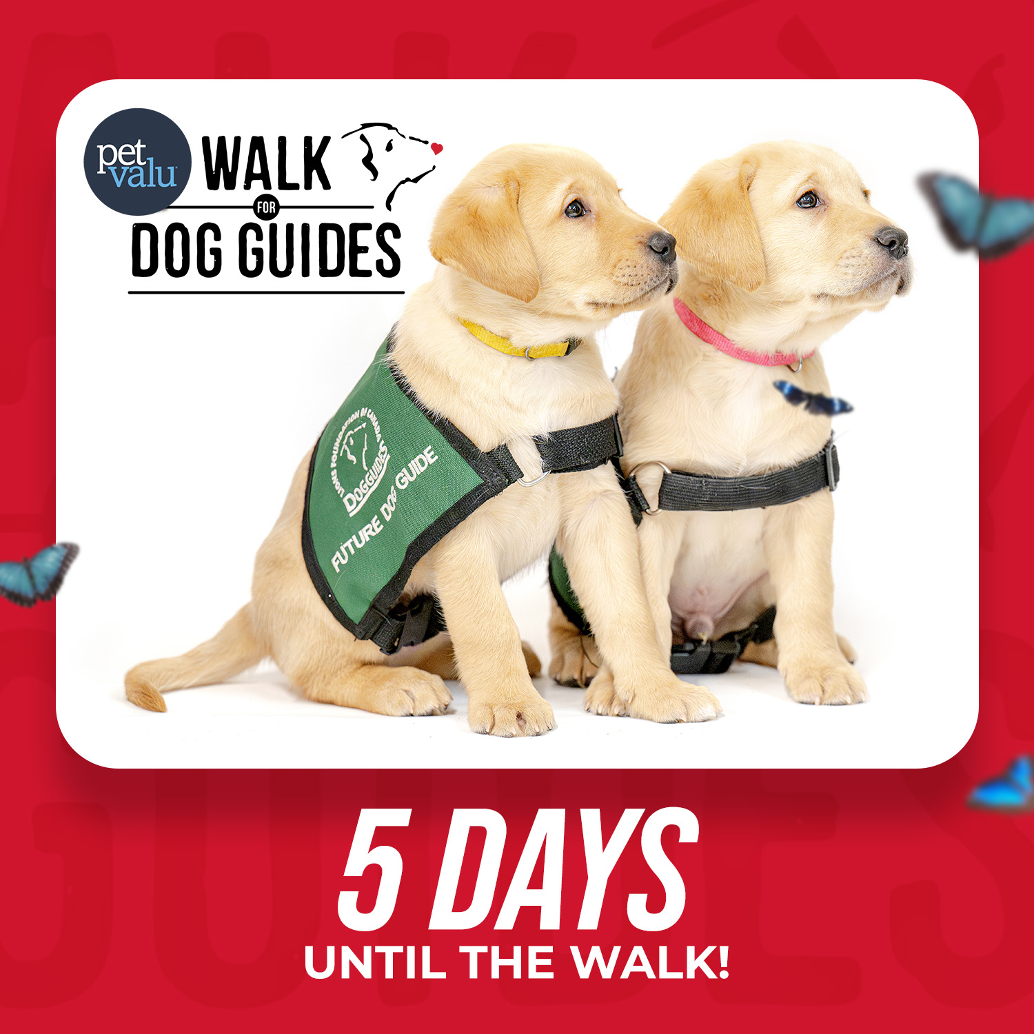 Walk 2026 Countdown - 5 days