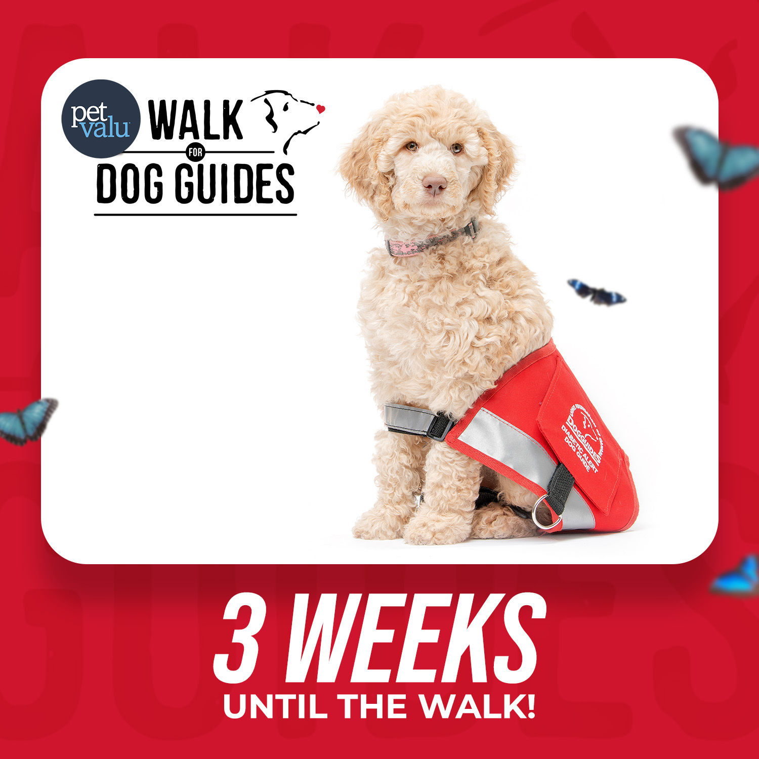 Walk 2026 Countdown - 3 weeks