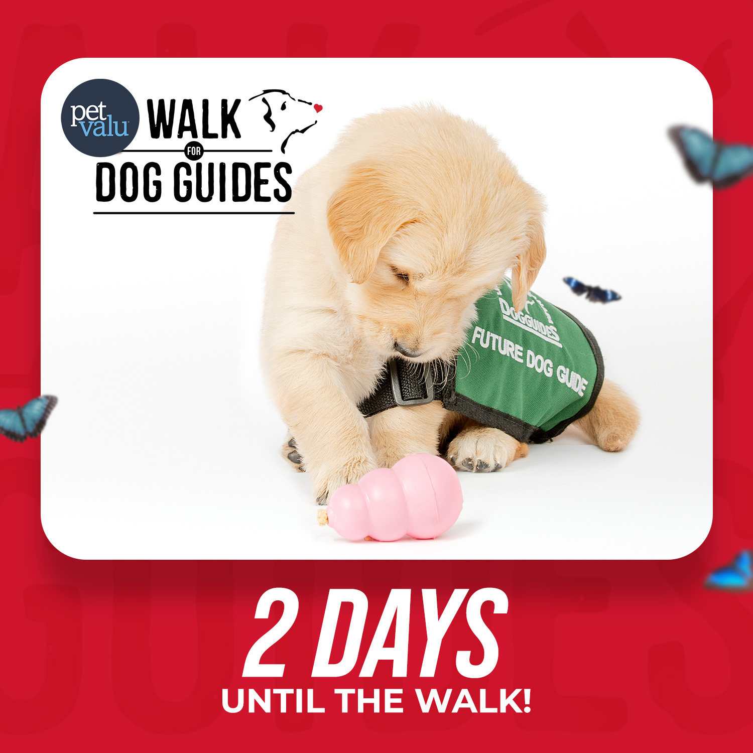 Walk 2026 Countdown - 2 days