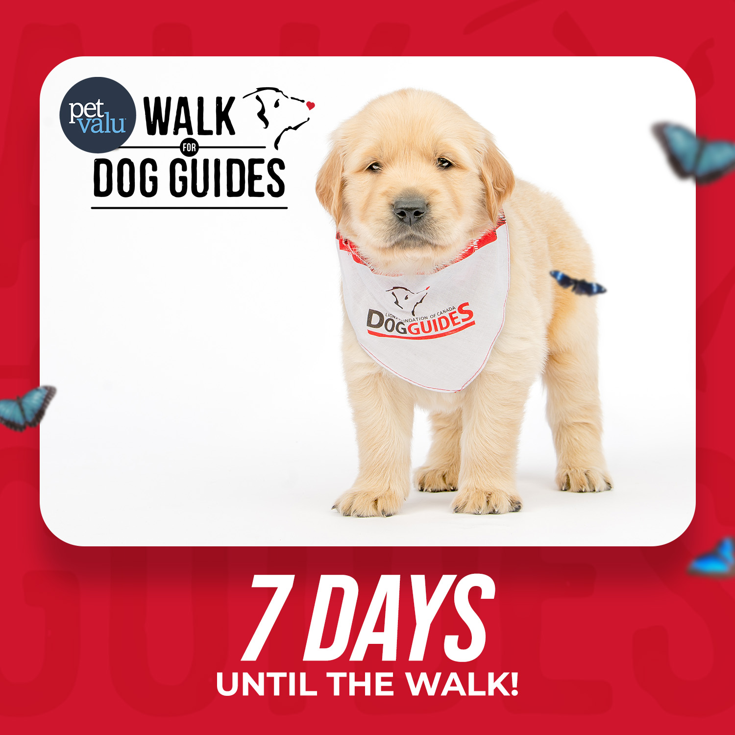 Walk 2026 Countdown - 1 week