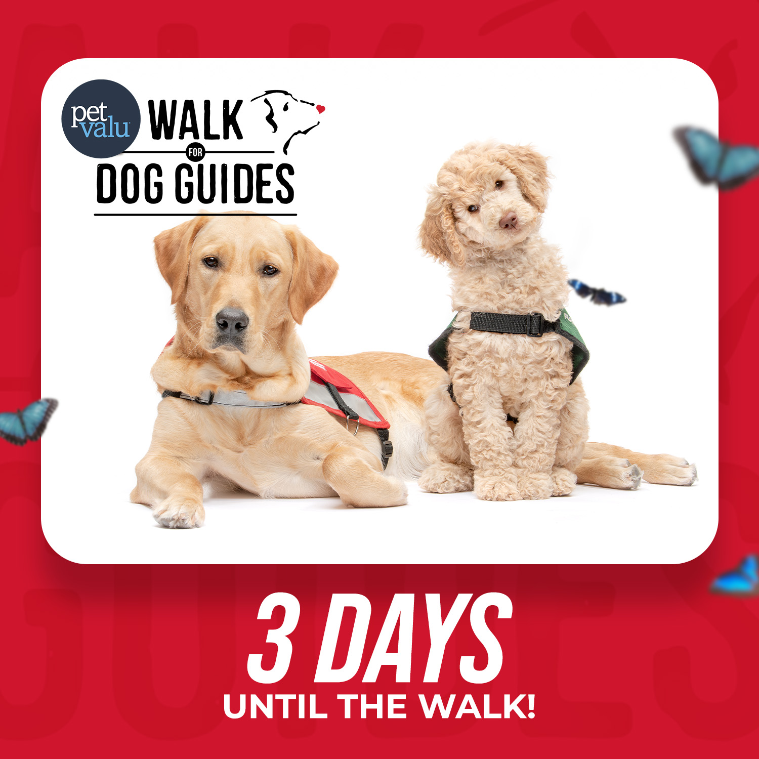 Walk 2026 Countdown - 3 days