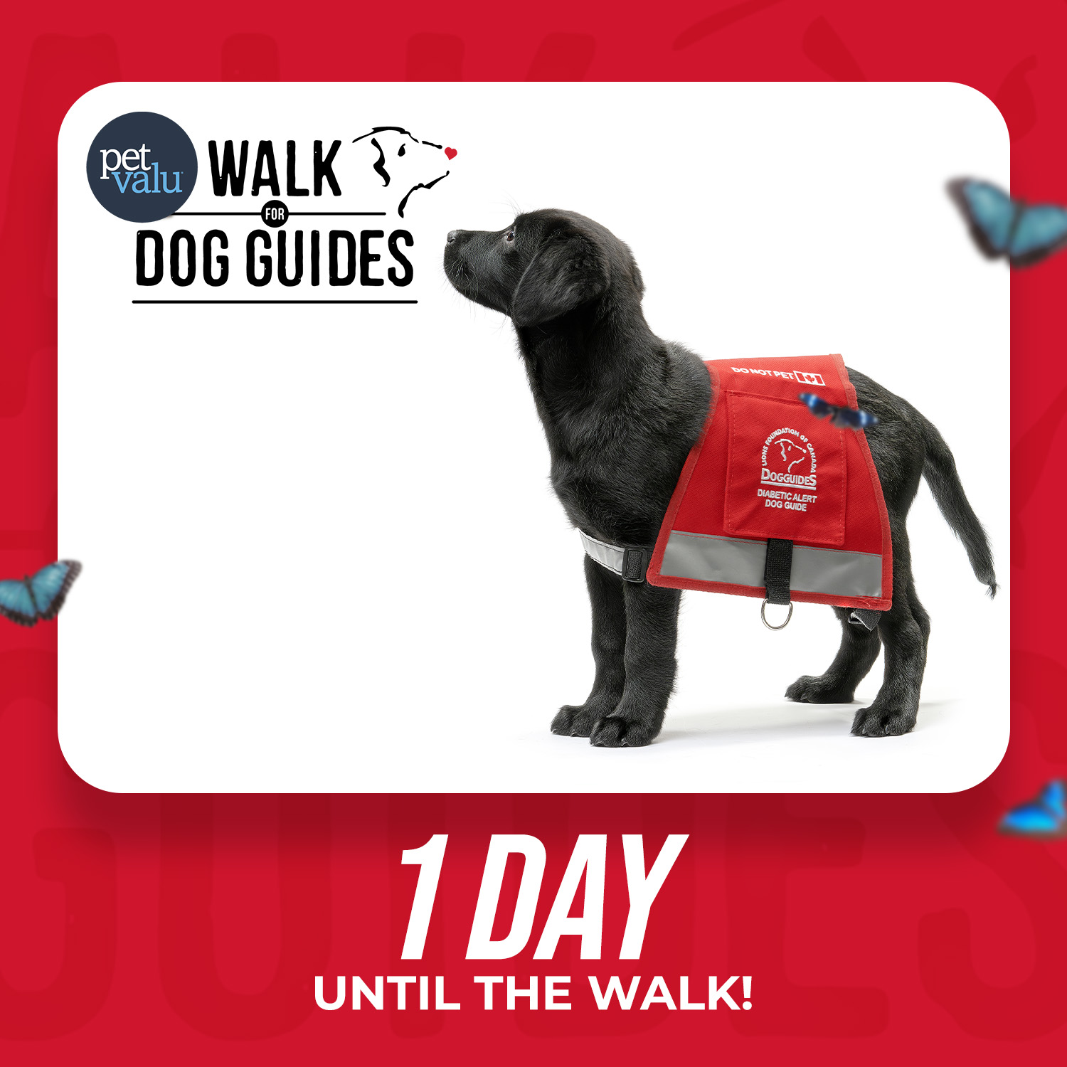 Walk 2026 Countdown - 1 day