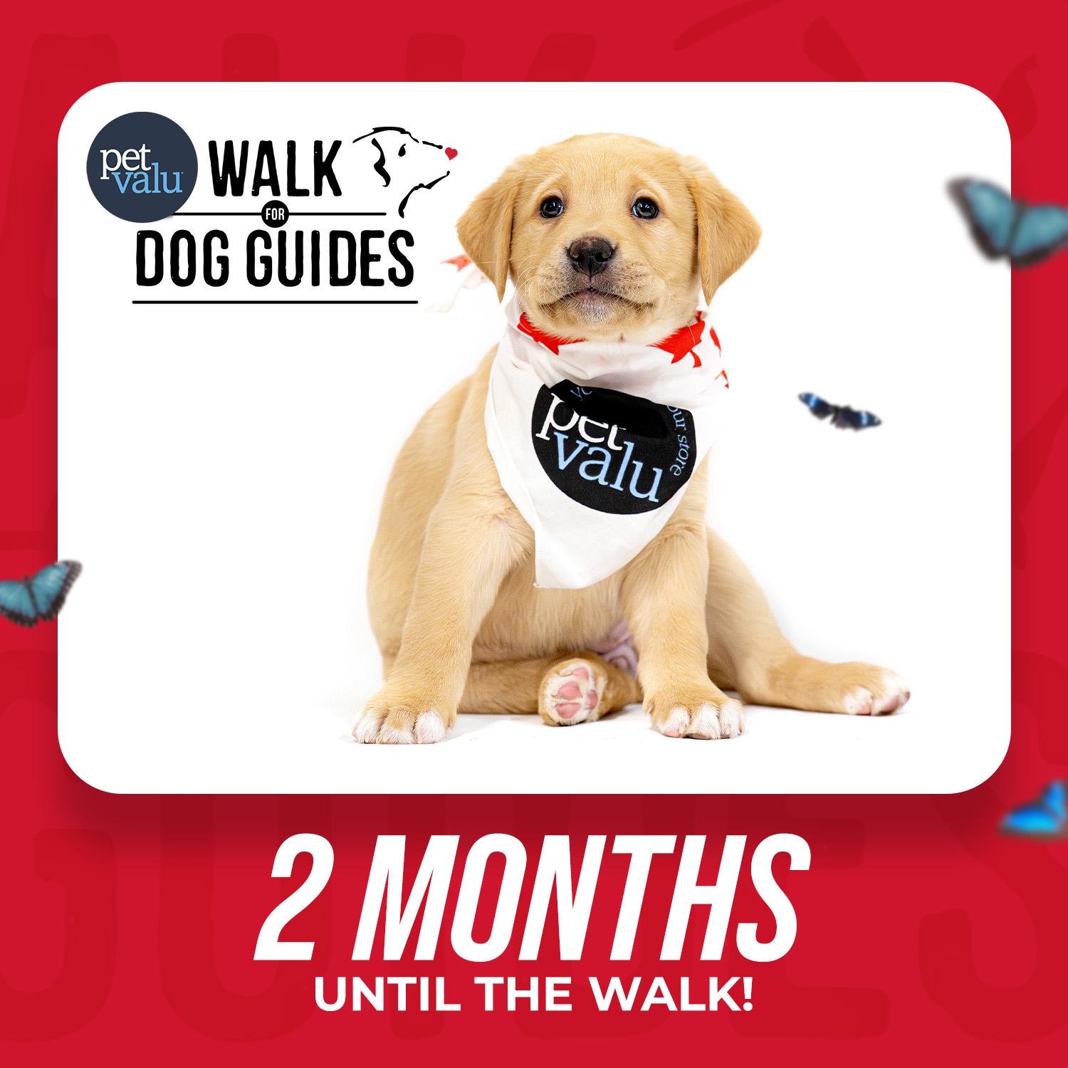 Walk 2026 Countdown - 2 months