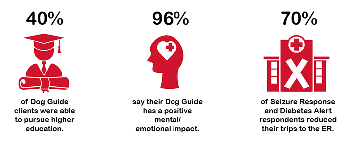 Dog Guides Impact Graphic